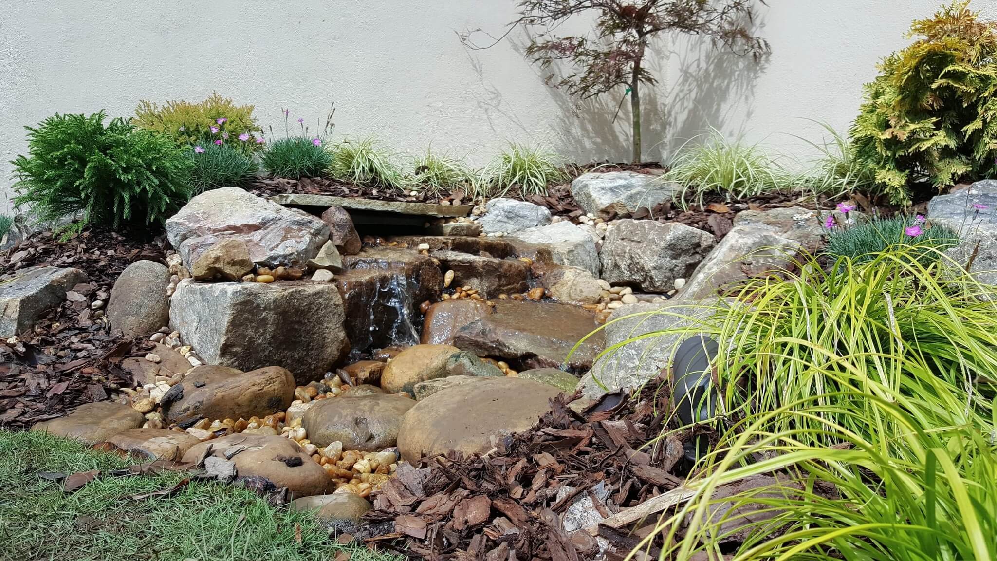 IMG_0789 Landscaping Services for Duluth & Gwinnett County, GA