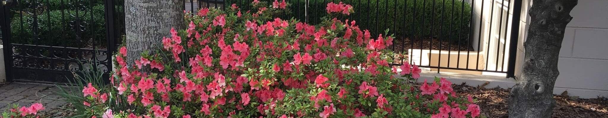 Flowery Branch, GA Landscaping Services