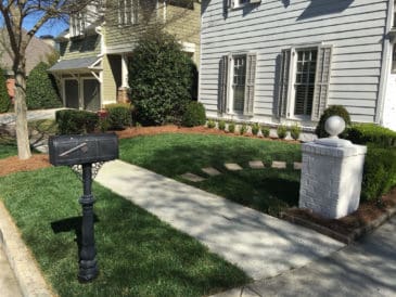 Buford & Hall County, GA Landscape Maintenance Services