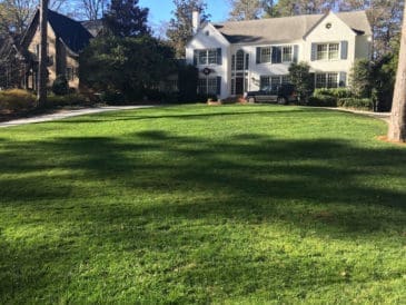 Suwanee & Gwinnett County, GA Landscaping Services Company