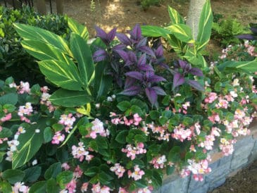 Suwanee & Gwinnett County, GA Landscape Maintenance Services