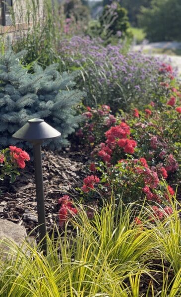 John's Creek, GA Landscape Installation