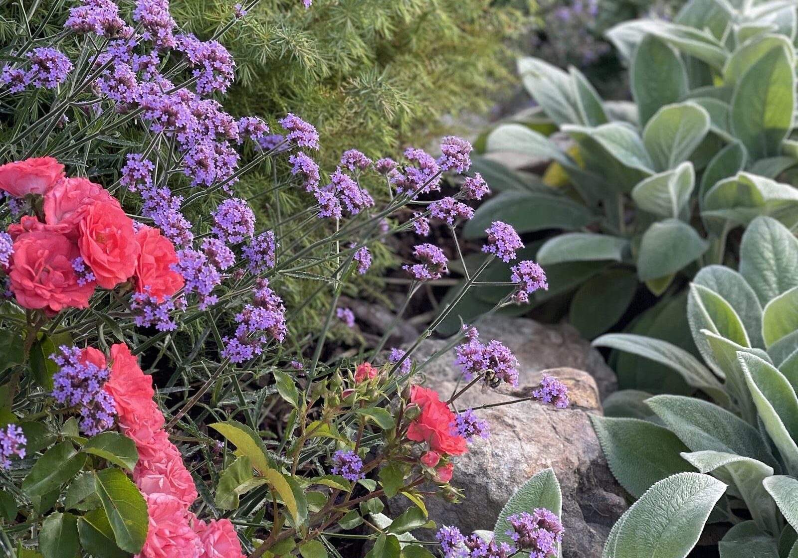 Hoschton, GA Landscape Maintenance Hoschton, GA Landscape Maintenance