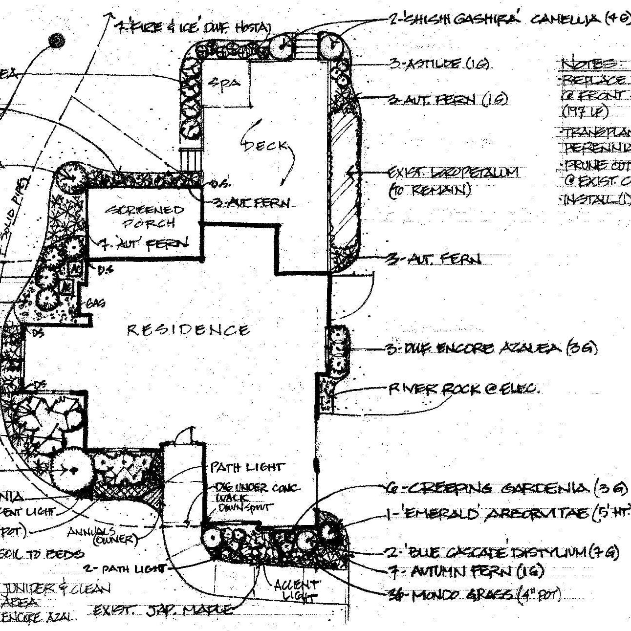 Williams-Design Williams-Design