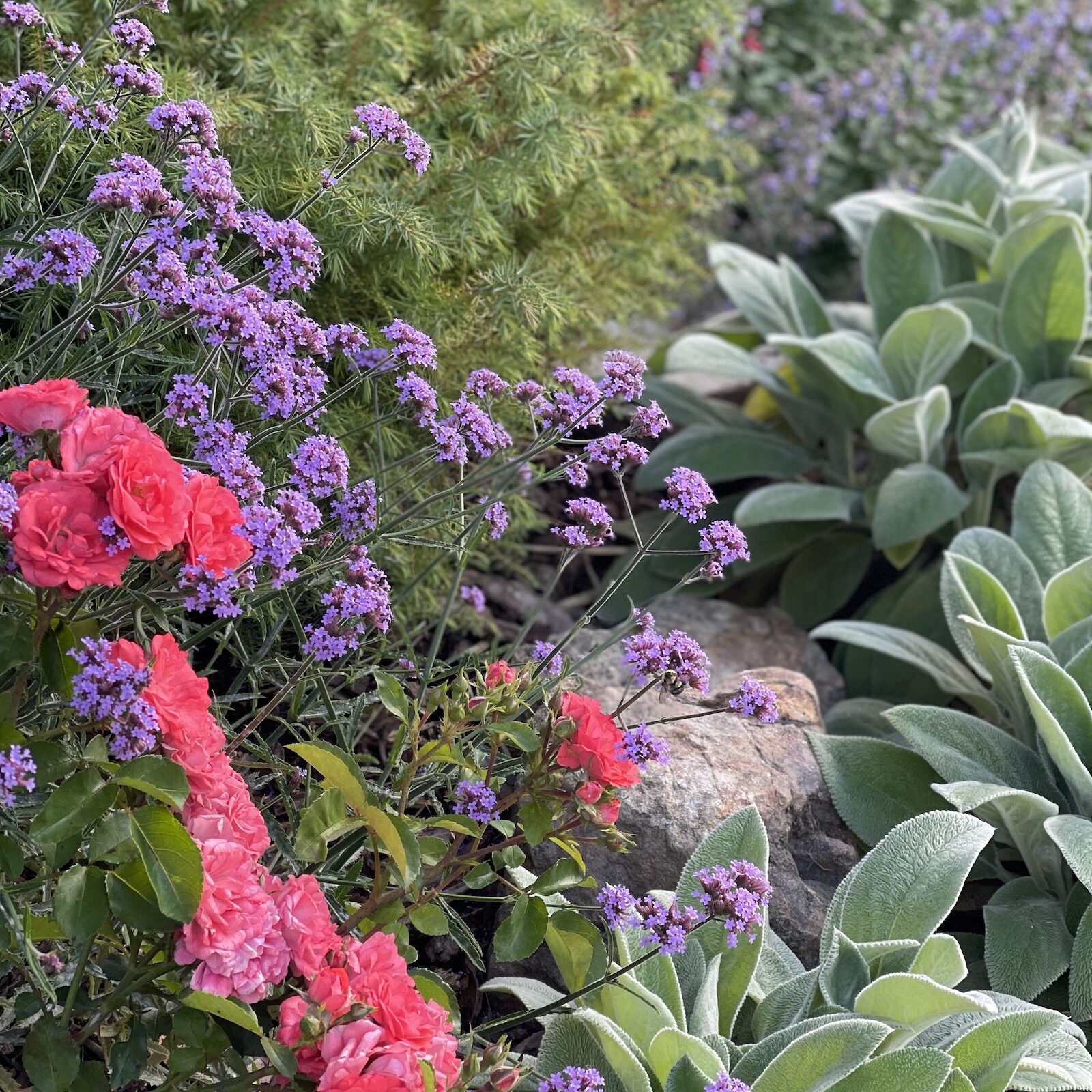 flowery-branch-georgia-landscape-pricing Flowery Branch & Hall County, GA Landscape Pricing Guide